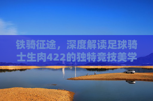 铁骑征途,深度解读足球骑士生肉422的独特竞技美学