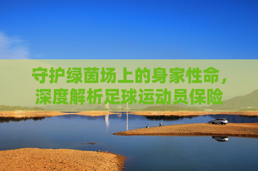守护绿茵场上的身家性命,深度解析足球运动员保险