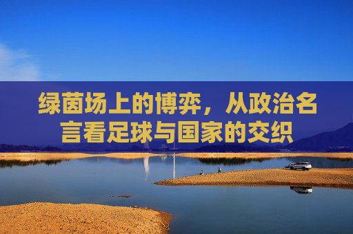 绿茵场上的博弈,从政治名言看足球与国家的交织