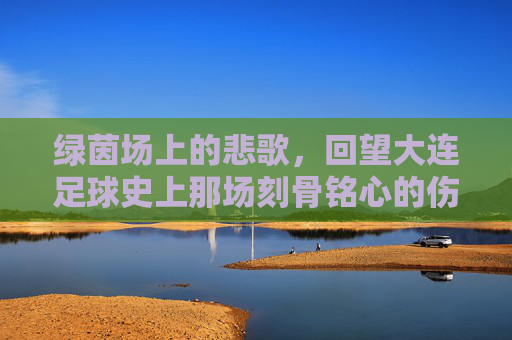 绿茵场上的悲歌,回望大连足球史上那场刻骨铭心的伤痛