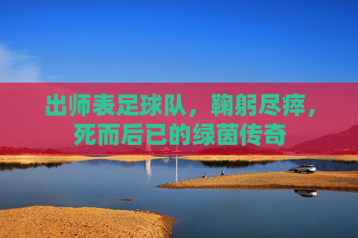 出师表足球队,鞠躬尽瘁,死而后已的绿茵传奇