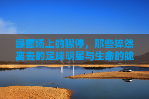 绿茵场上的骤停,那些猝然离去的足球明星与生命的脆弱
