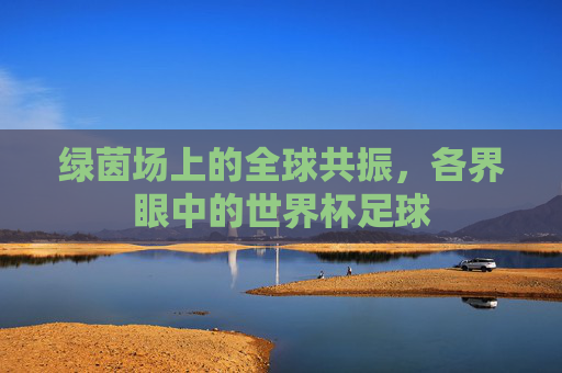 绿茵场上的全球共振,各界眼中的世界杯足球