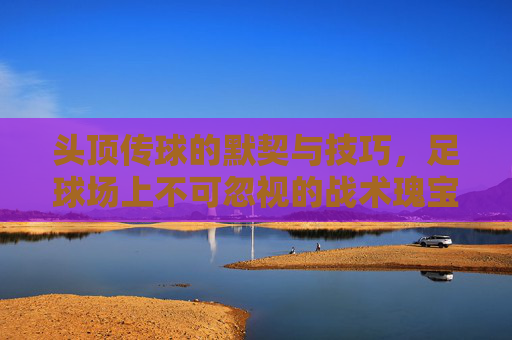 头顶传球的默契与技巧,足球场上不可忽视的战术瑰宝