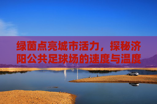 绿茵点亮城市活力，探秘济阳公共足球场的速度与温度
