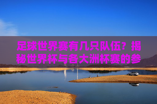 足球世界赛有几只队伍？揭秘世界杯与各大洲杯赛的参赛规模