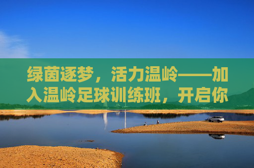 绿茵逐梦，活力温岭——加入温岭足球训练班，开启你的足球之旅