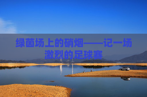 绿茵场上的硝烟——记一场激烈的足球赛