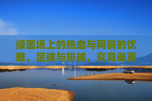 绿茵场上的热血与网前的优雅,足球与排球,究竟谁更好玩?