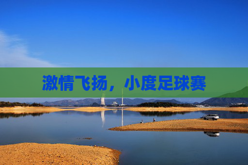 激情飞扬，小度足球赛