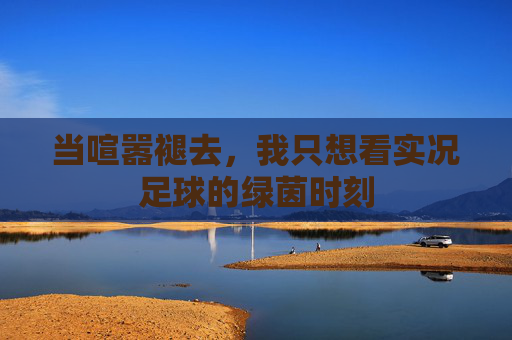 当喧嚣褪去,我只想看实况足球的绿茵时刻