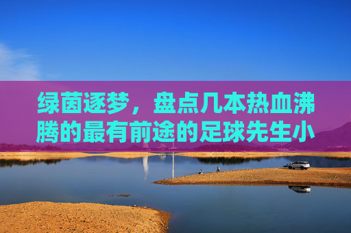 绿茵逐梦，盘点几本热血沸腾的最有前途的足球先生小说