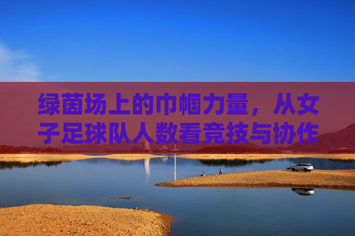 绿茵场上的巾帼力量，从女子足球队人数看竞技与协作