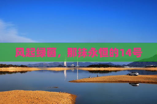 风起绿茵，那抹永恒的14号
