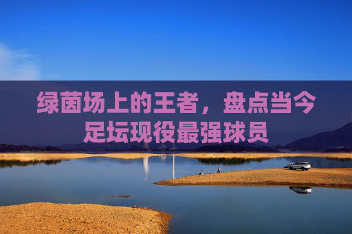 绿茵场上的王者,盘点当今足坛现役最强球员