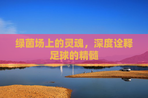 绿茵场上的灵魂，深度诠释足球的精髓