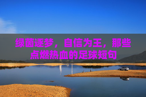 绿茵逐梦,自信为王,那些点燃热血的足球短句