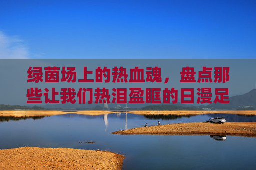 绿茵场上的热血魂，盘点那些让我们热泪盈眶的日漫足球角色