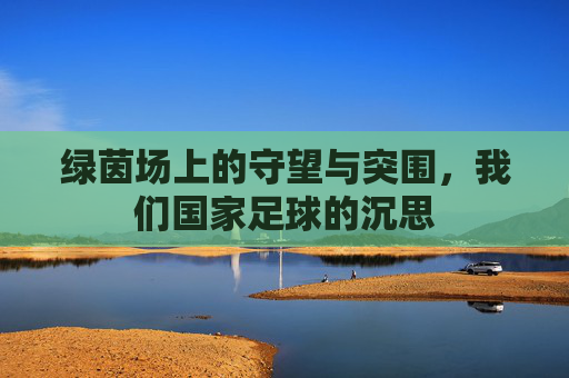 绿茵场上的守望与突围，我们国家足球的沉思