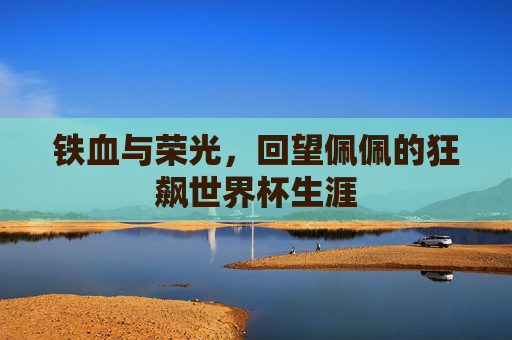 铁血与荣光,回望佩佩的狂飙世界杯生涯