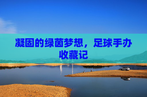 凝固的绿茵梦想,足球手办收藏记