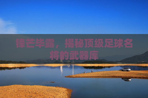 锋芒毕露，揭秘顶级足球名将的武器库