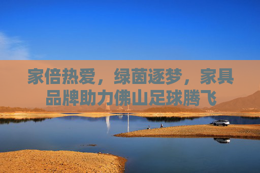 家倍热爱，绿茵逐梦，家具品牌助力佛山足球腾飞