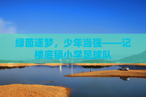 绿茵逐梦,少年当强——记楼底镇小学足球队