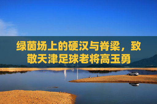 绿茵场上的硬汉与脊梁,致敬天津足球老将高玉勇