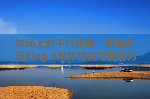 球场上的不朽传奇，重温彪马King II足球鞋的经典魅力