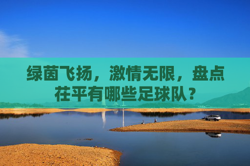 绿茵飞扬，激情无限，盘点茌平有哪些足球队？