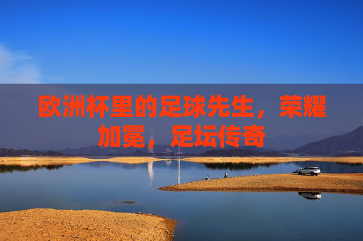 欧洲杯里的足球先生,荣耀加冕,足坛传奇