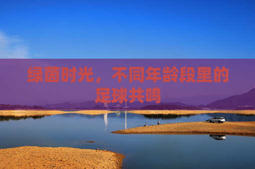 绿茵时光,不同年龄段里的足球共鸣