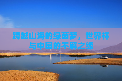 跨越山海的绿茵梦，世界杯与中国的不解之缘