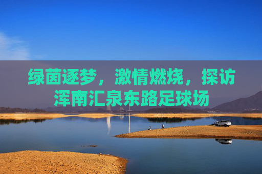 绿茵逐梦，激情燃烧，探访浑南汇泉东路足球场