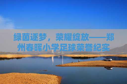 绿茵逐梦，荣耀绽放——郑州春晖小学足球荣誉纪实