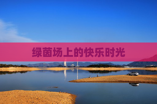 绿茵场上的快乐时光