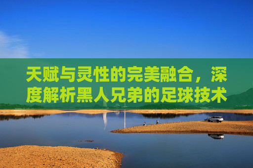 天赋与灵性的完美融合，深度解析黑人兄弟的足球技术特点