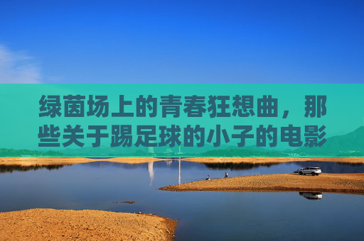 绿茵场上的青春狂想曲，那些关于踢足球的小子的电影