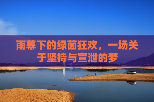 雨幕下的绿茵狂欢，一场关于坚持与宣泄的梦