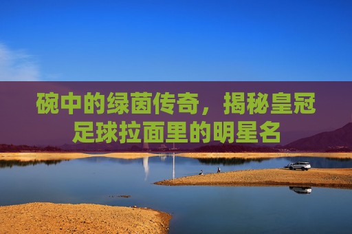 碗中的绿茵传奇，揭秘皇冠足球拉面里的明星名