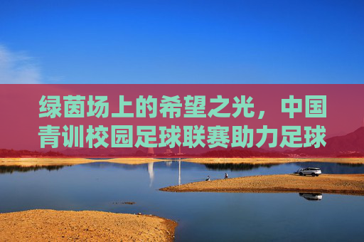 绿茵场上的希望之光,中国青训校园足球联赛助力足球强国梦