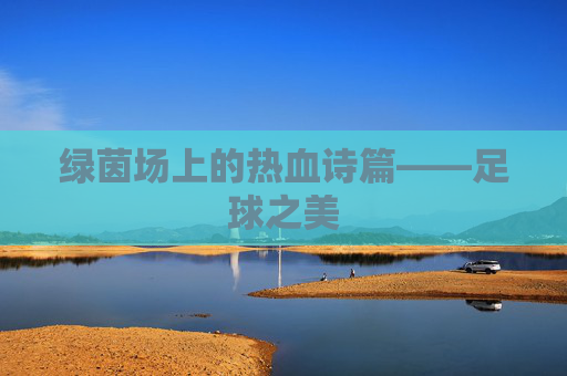 绿茵场上的热血诗篇——足球之美