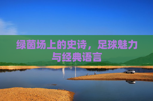 绿茵场上的史诗,足球魅力与经典语言