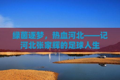 绿茵逐梦,热血河北——记河北张家辉的足球人生