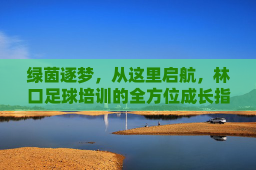 绿茵逐梦,从这里启航,林口足球培训的全方位成长指南