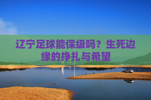辽宁足球能保级吗？生死边缘的挣扎与希望