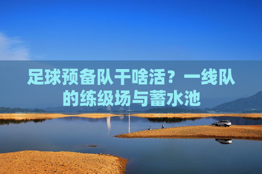 足球预备队干啥活？一线队的练级场与蓄水池