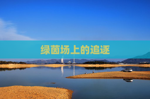 绿茵场上的追逐