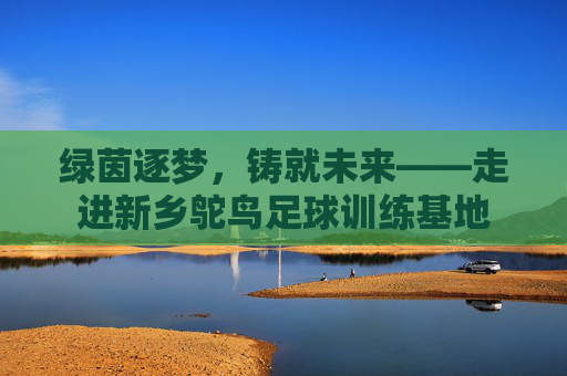绿茵逐梦,铸就未来——走进新乡鸵鸟足球训练基地